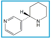 Nicotine Related Compound G